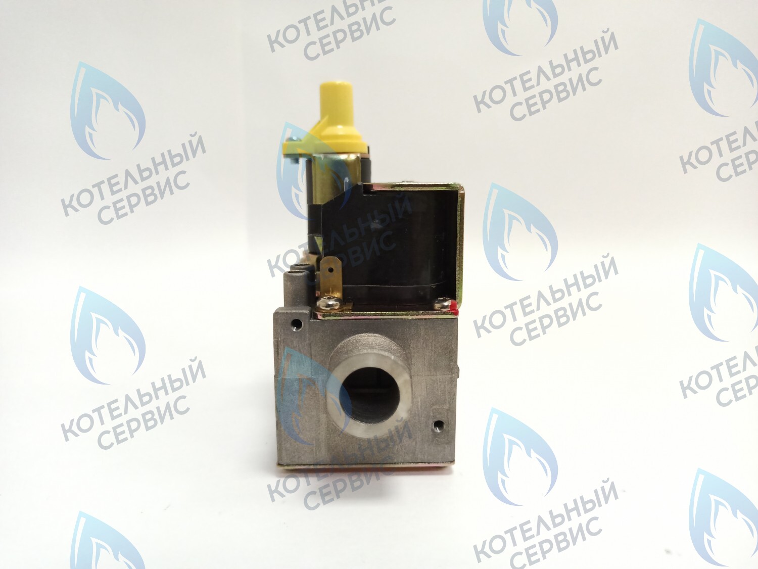 AA10021032 Газовый клапан Electrolux (AA10021032) 