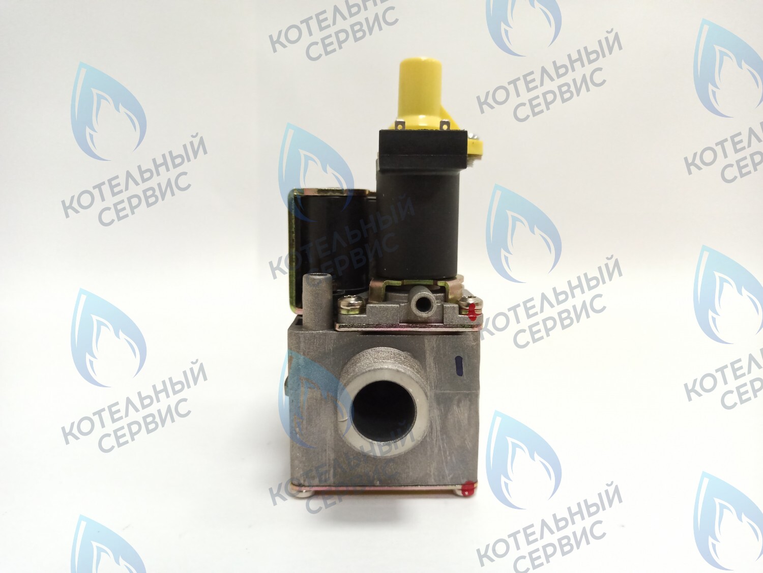 AA10021032 Газовый клапан Electrolux (AA10021032) 