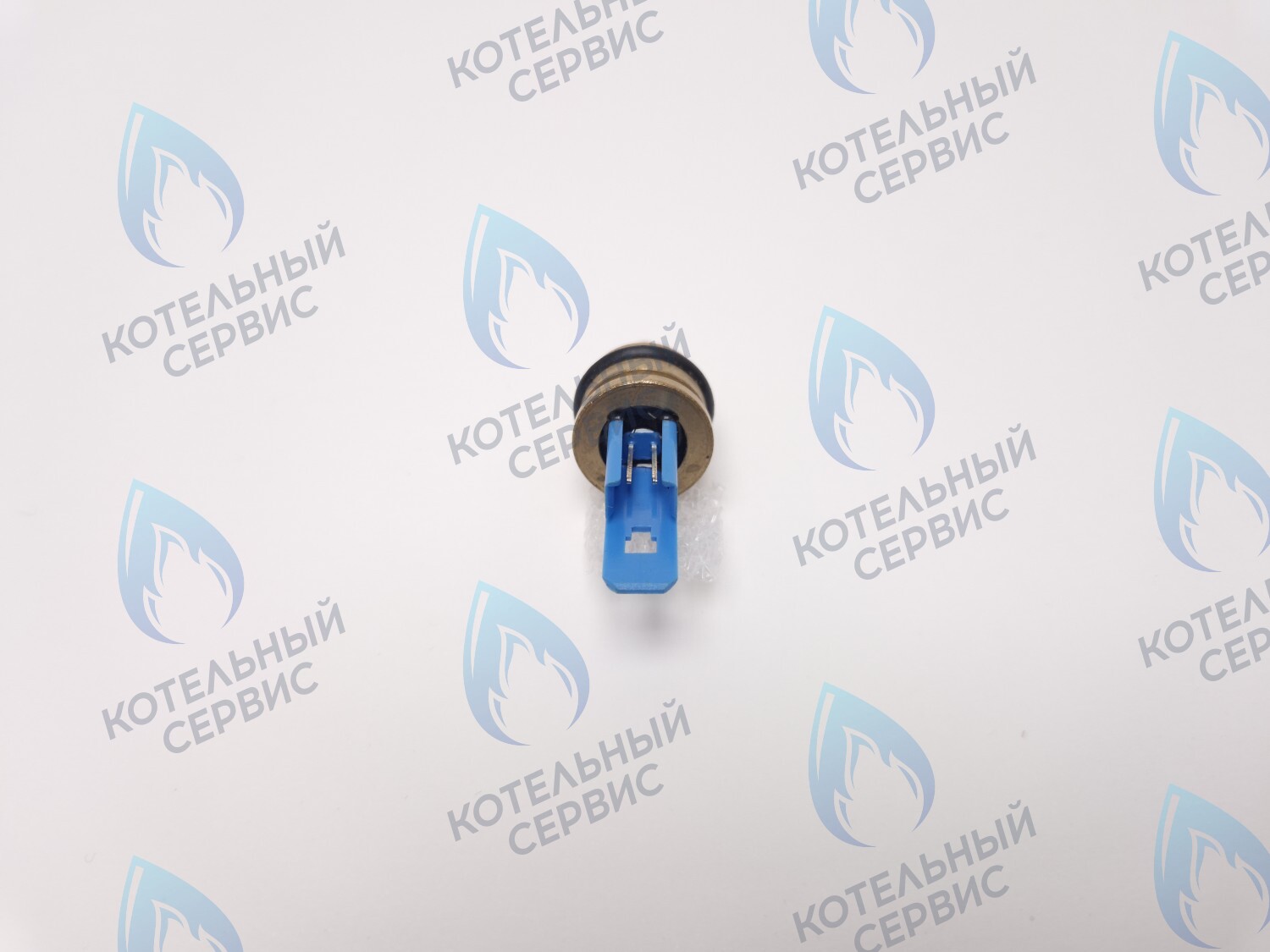 TS001-BLUE Датчик температуры NTC Ariston Egis 