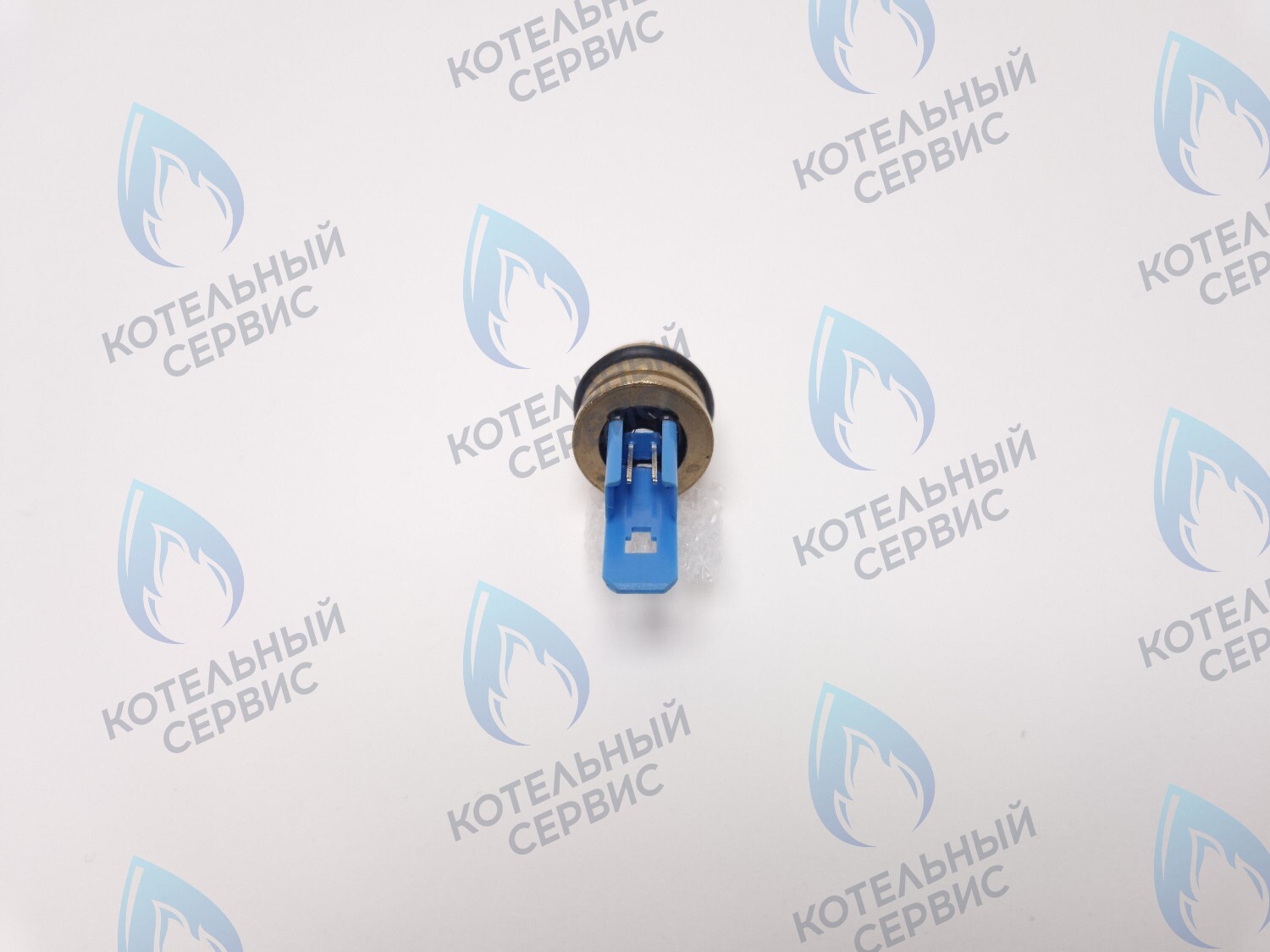 TS001-BLUE Датчик температуры NTC Ariston Egis 