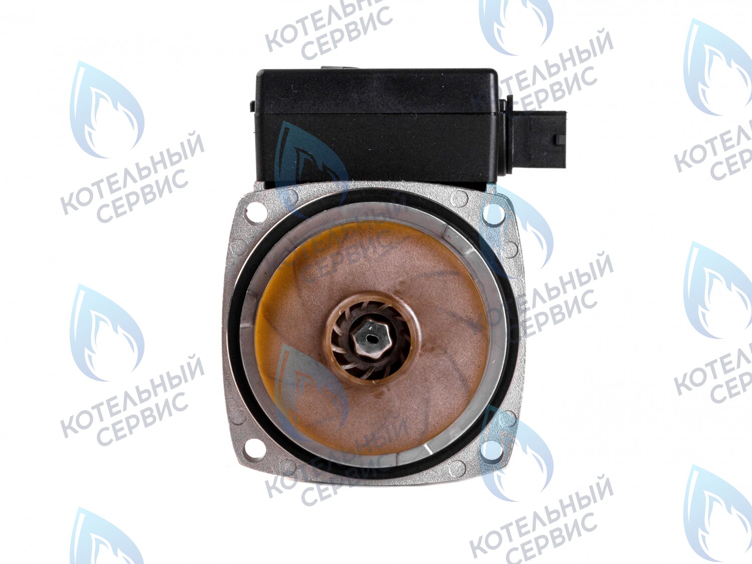 PH-E23CW50-ER95R Двигатель насоса (по часовой) ERCO DWP15-50-F Thermex (28300020, 28300010), ALPHATHERM (EC-036), FERROLI (PMF01AE50-ER95R, 902614160, 398063960, 398063950_CHIARI), Koreastar (KS90263950) 