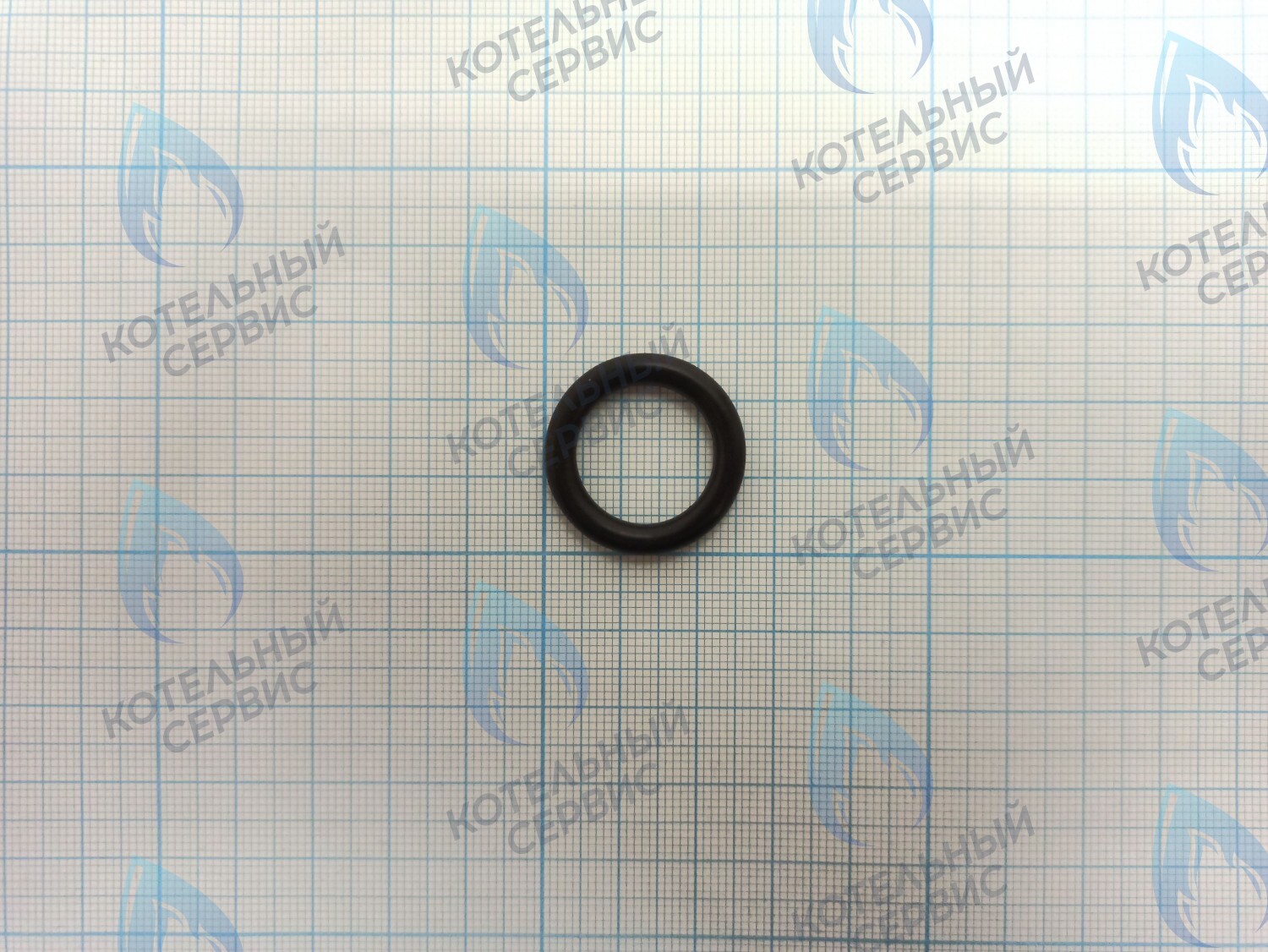ZR101 Уплотнительное кольцо (прокладка) соединения гидрогруппы и улитки циркуляционного насоса 