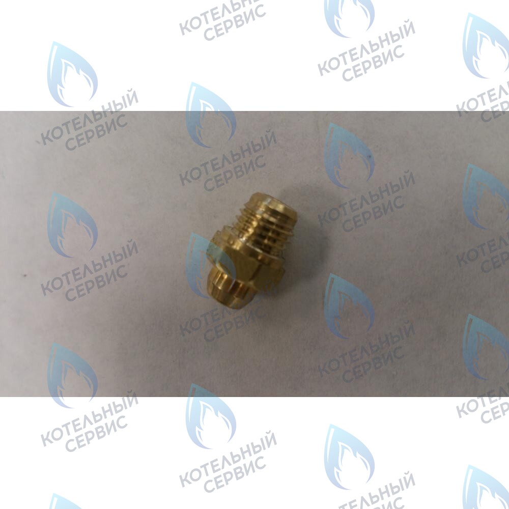 6306101018 Инжектор Ø 0,80 (Сжиженный газ) BAXI 