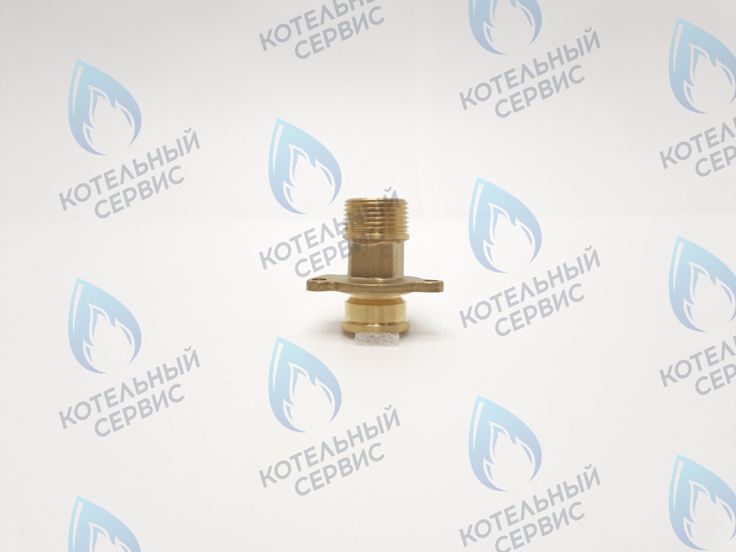 440003083 Штуцер подачи отопления RINNAI 