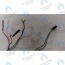 6305100085 Проводка  электрическая низкого  напряжения BAXI 