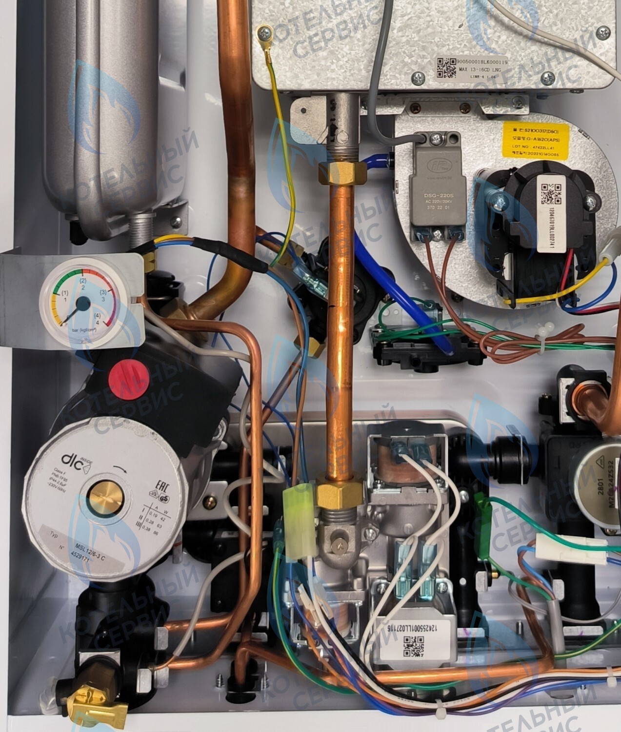 PMDS1AW60-WC86DS-Комп Насос циркуляционный 6м для DAESUNG A16-24 MAX (52050118, 52050130), ARDERIA 2.13-20, CELTIC-DS 3.13-3.20 (2050118, 2050130) (не подходит для MASTER GAS SEOUL и DAESUNG A 2019, где насос посередине) 