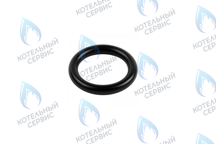 0020034114 Прокладка 14x9,5x2,5 PROTHERM 
