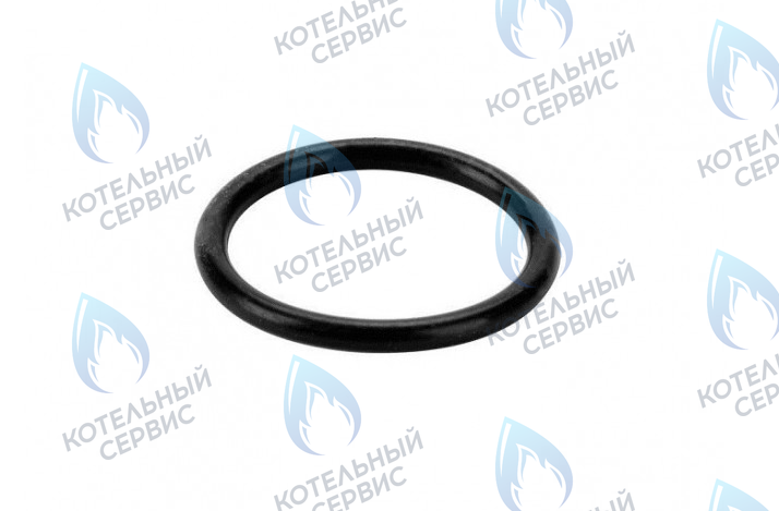 0020118667 Прокладка 14,2x3мм PROTHERM 