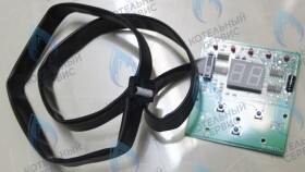 Плата управления, Protherm