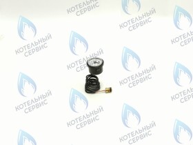 Манометр Ferroli Arena (RU)