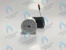 Термометр 0-120C  (36400250) FERROLI