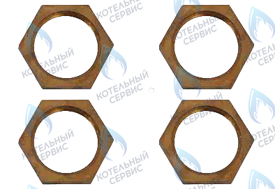 0020038631 Гайка (комплект 4шт) PROTHERM 