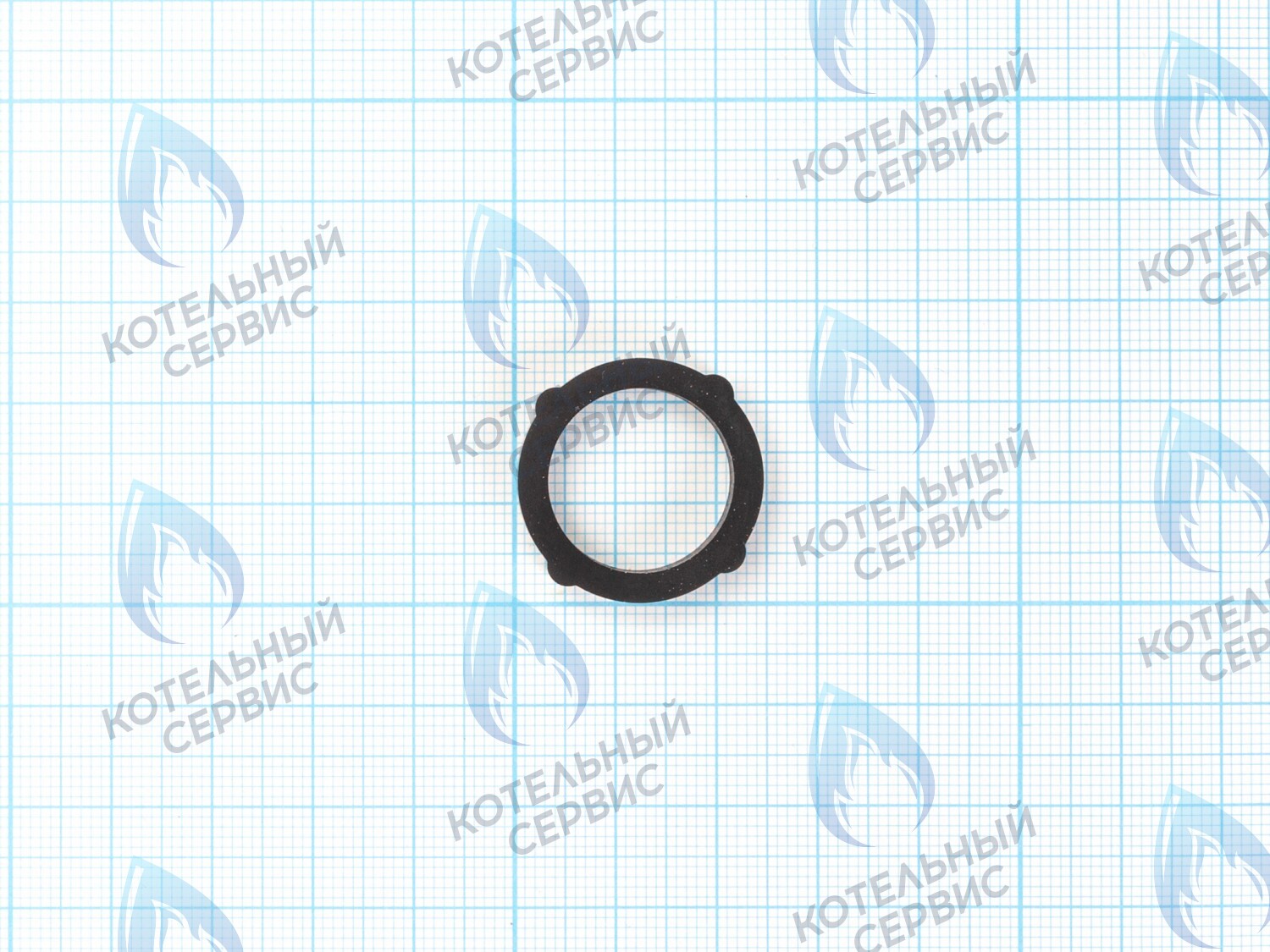 ZR201-45 Прокладка уплотнительная теплообменника ГВС 24x18x4,5 (0020118654) Protherm Рысь Ягуар Гепард 