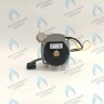 PH-W21CCW50-WA79PR-5PIN-Комп Двигатель насоса 1000L/H аналог WILO INTVACL 15/5-2 Protherm Гепард 23 MTV / MOV вер. 19, Пантера 25 KTV / KOV, 30 KTV вер. 19 (без улитки) (против часовой, втулка 35мм, колесо 68/21мм) (0020097216, 0020197548) 