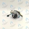 PH-W21CCW50-WA79PR-5PIN-Комп Двигатель насоса 1000L/H аналог WILO INTVACL 15/5-2 Protherm Гепард 23 MTV / MOV вер. 19, Пантера 25 KTV / KOV, 30 KTV вер. 19 (без улитки) (против часовой, втулка 35мм, колесо 68/21мм) (0020097216, 0020197548) 