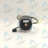 PH-W21CCW50-WA79PR-5PIN-Комп Двигатель насоса 1000L/H аналог WILO INTVACL 15/5-2 Protherm Гепард 23 MTV / MOV вер. 19, Пантера 25 KTV / KOV, 30 KTV вер. 19 (без улитки) (против часовой, втулка 35мм, колесо 68/21мм) (0020097216, 0020197548) 