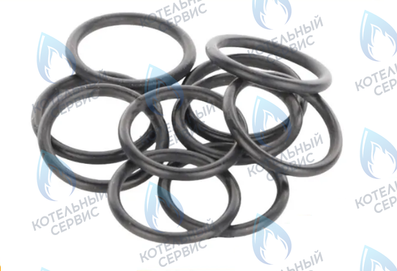 0020118737 Прокладка уплотнительная 17,17x1,78 (комплект 10шт) PROTHERM 