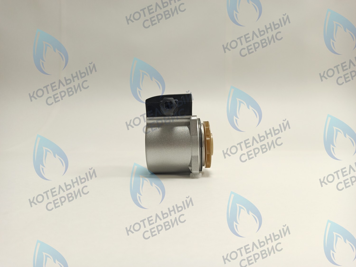 PH-G30CCW65-DG120 Двигатель насоса (против часовой) DUCA GX 15-65 120w аналог Grundfos 15-65 