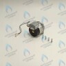 PH-W21CW50-DA84-2PIN Двигатель насоса DUCA APW 15-5.1A (1 скорости) аналог Wilo Ariston (60001584, 60000876, 60000876-01) 