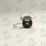 PH-W21CW50-DA84-2PIN Двигатель насоса DUCA APW 15-5.1A (1 скорости) аналог Wilo Ariston (60001584, 60000876, 60000876-01) 