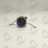 PH-W21CW50-DA84-2PIN Двигатель насоса DUCA APW 15-5.1A (1 скорости) аналог Wilo Ariston (60001584, 60000876, 60000876-01) 