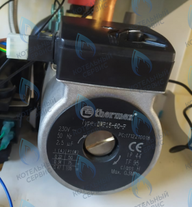 Циркуляционный насос в сборе DWP15-60-F Thermex EuroElite