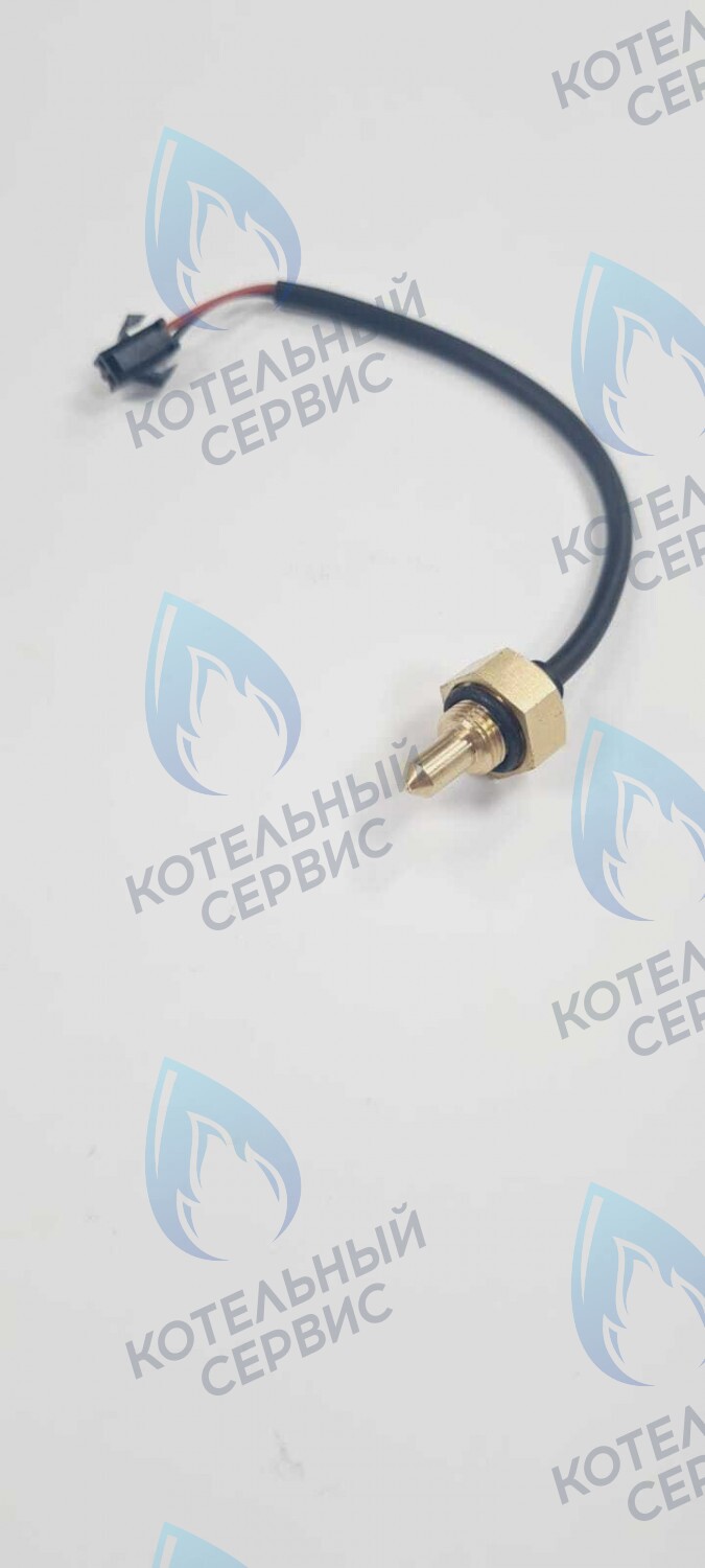 TS008-WP-10-02 Датчик температуры погружной G8 с проводом - папа Mizudo 10кОм 