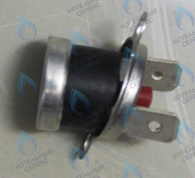 Термостат 100°C PROTHERM