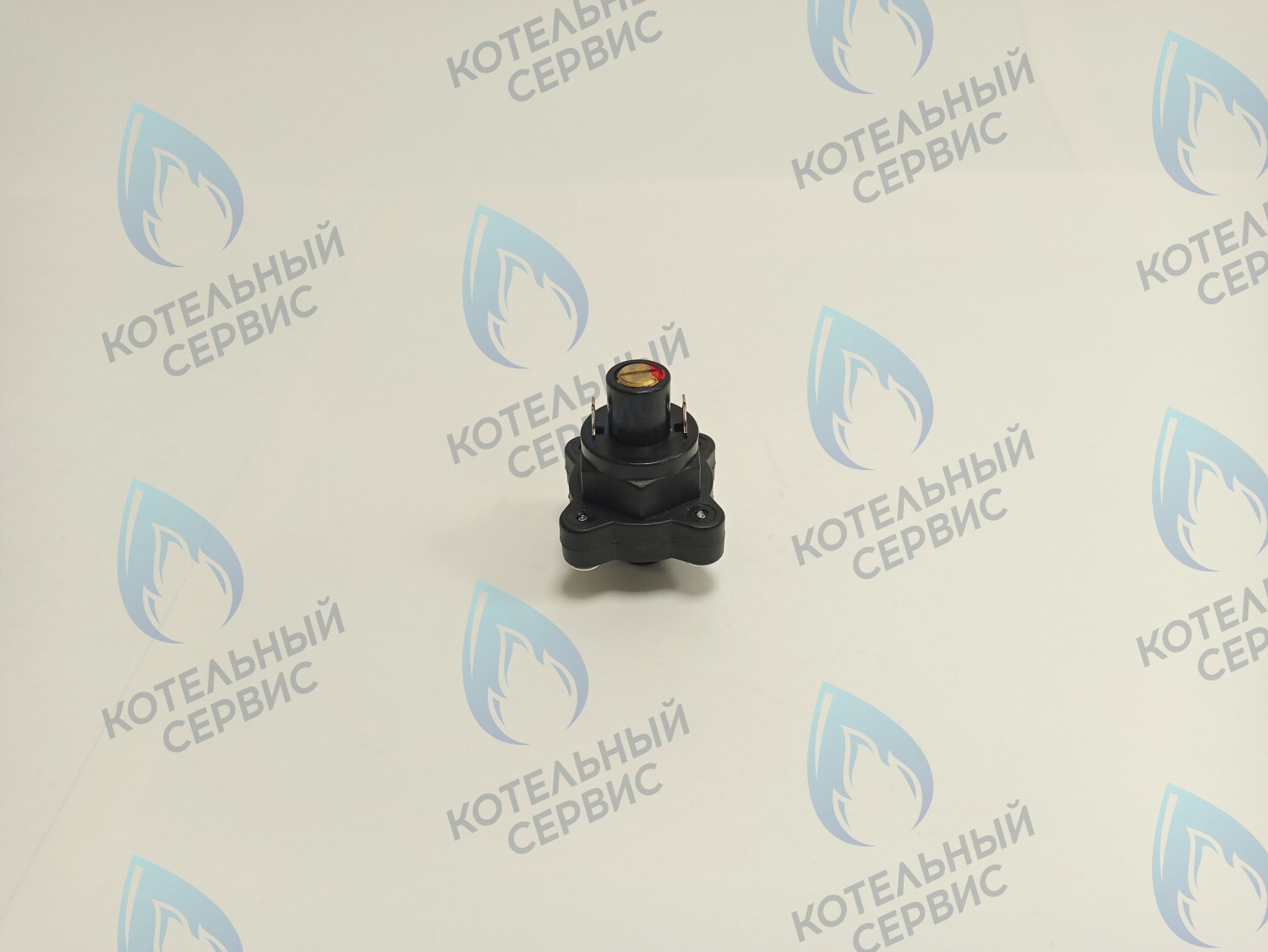 PS015-02 Датчик (замкнут/разомкнут) минимал. давления теплоносителя GAZLUX после 09.2007, GAZECO 18/24  (09-2076, 09-4076) 