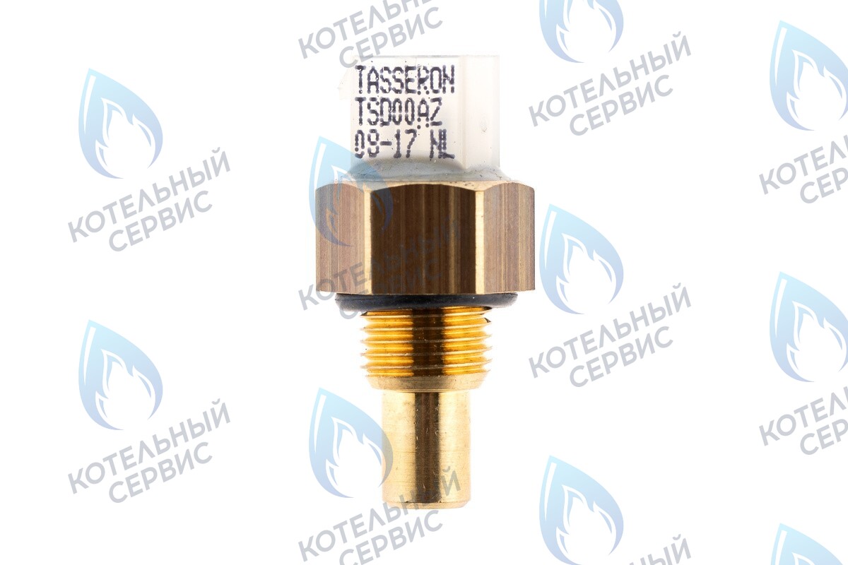 19034002 Датчик NTC ГВС Thermex Xantus 