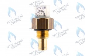 Датчик NTC ГВС Thermex Xantus
