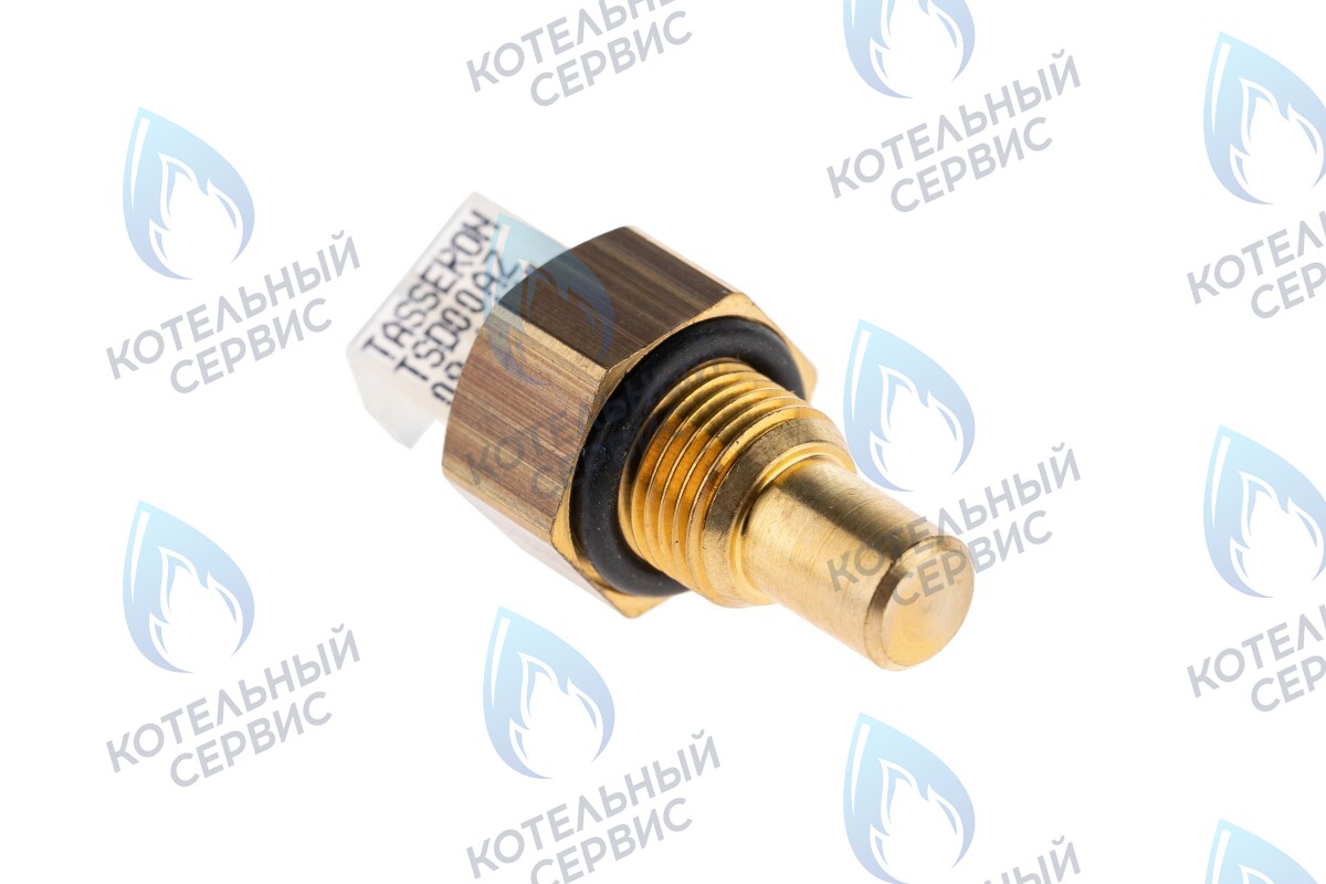 19034002 Датчик NTC ГВС Thermex Xantus 