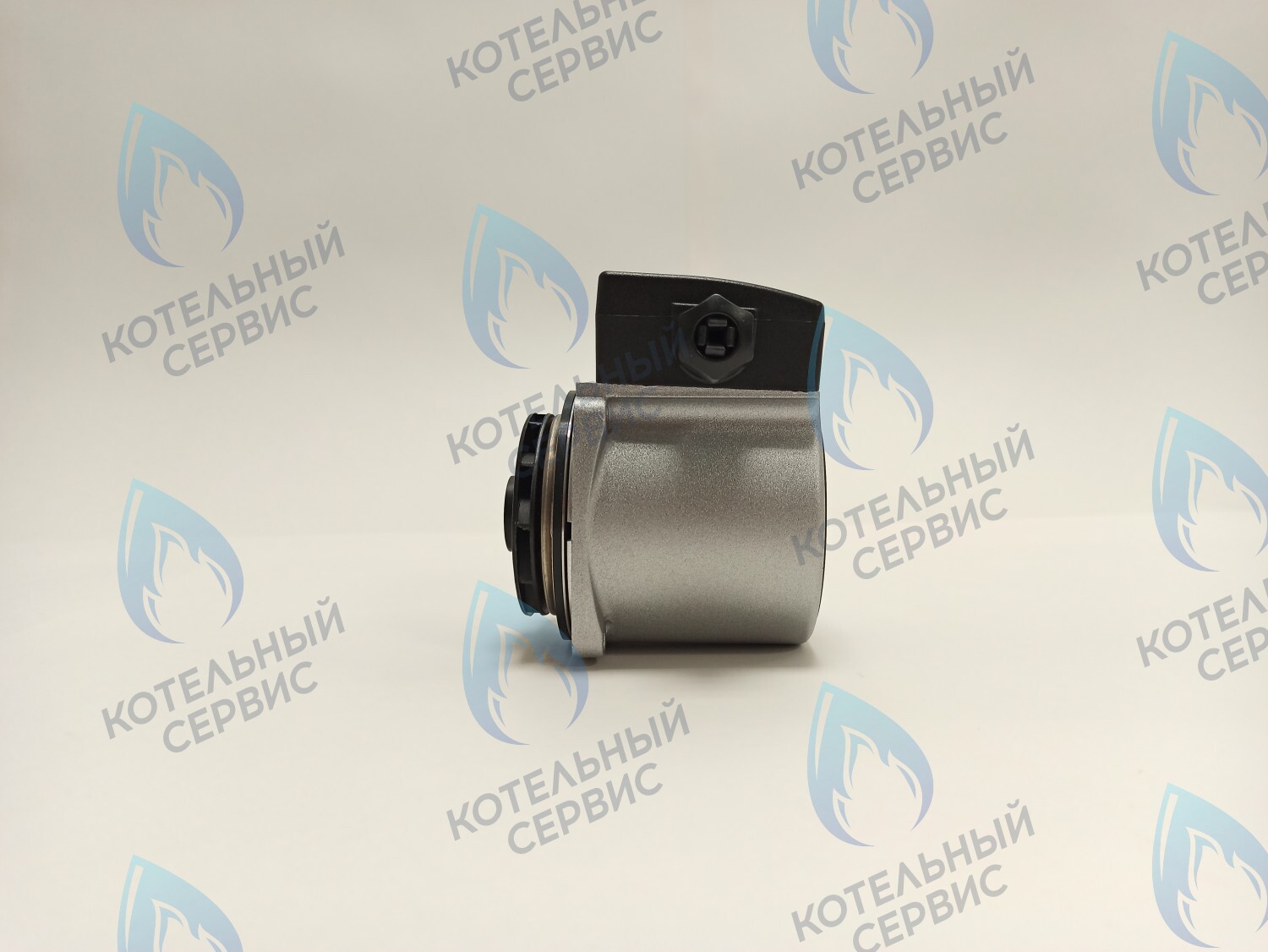 PH-G21CW60-GC105R Двигатель насоса (без улитки) KROD 15-60 105w ALPHENHOFF GAMBURG, FERROLI ARENA (RU), WERT RUS ECO (по часовой) 