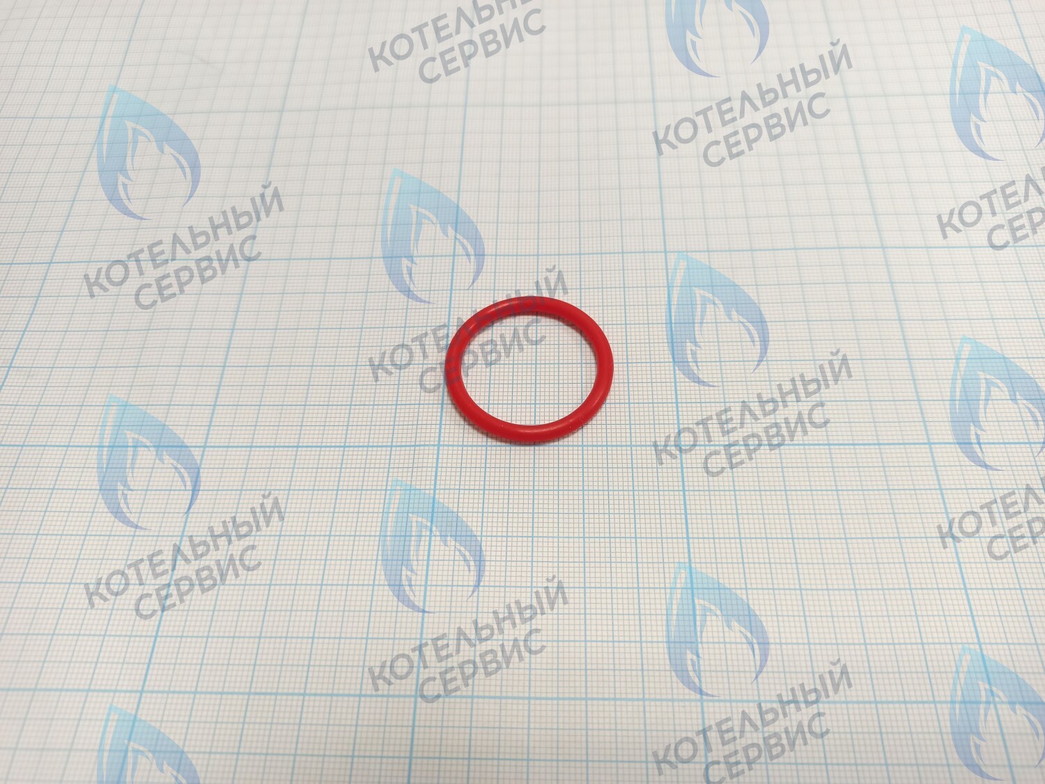 20007016A Кольцо уплотнительное O-ring Navien для фильтра (BH2423087A) 