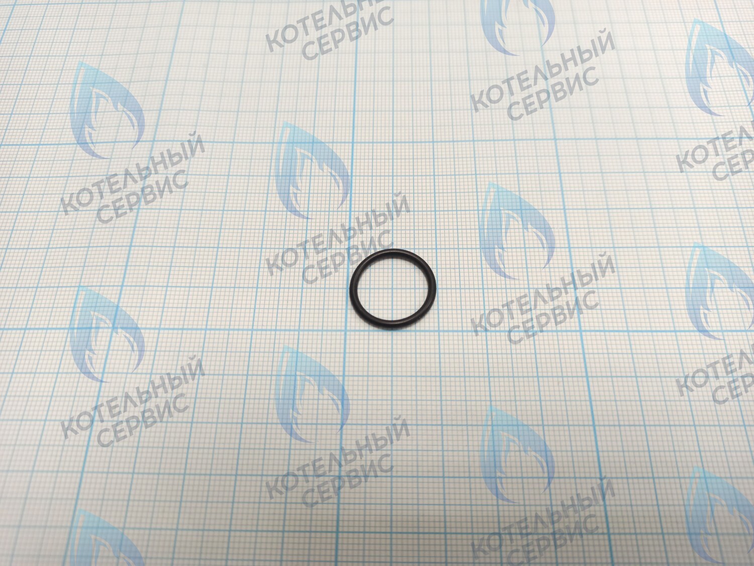 BI1001 131 Прокладка O-Ring 1,78 X 15,6 (BI1001 131) 