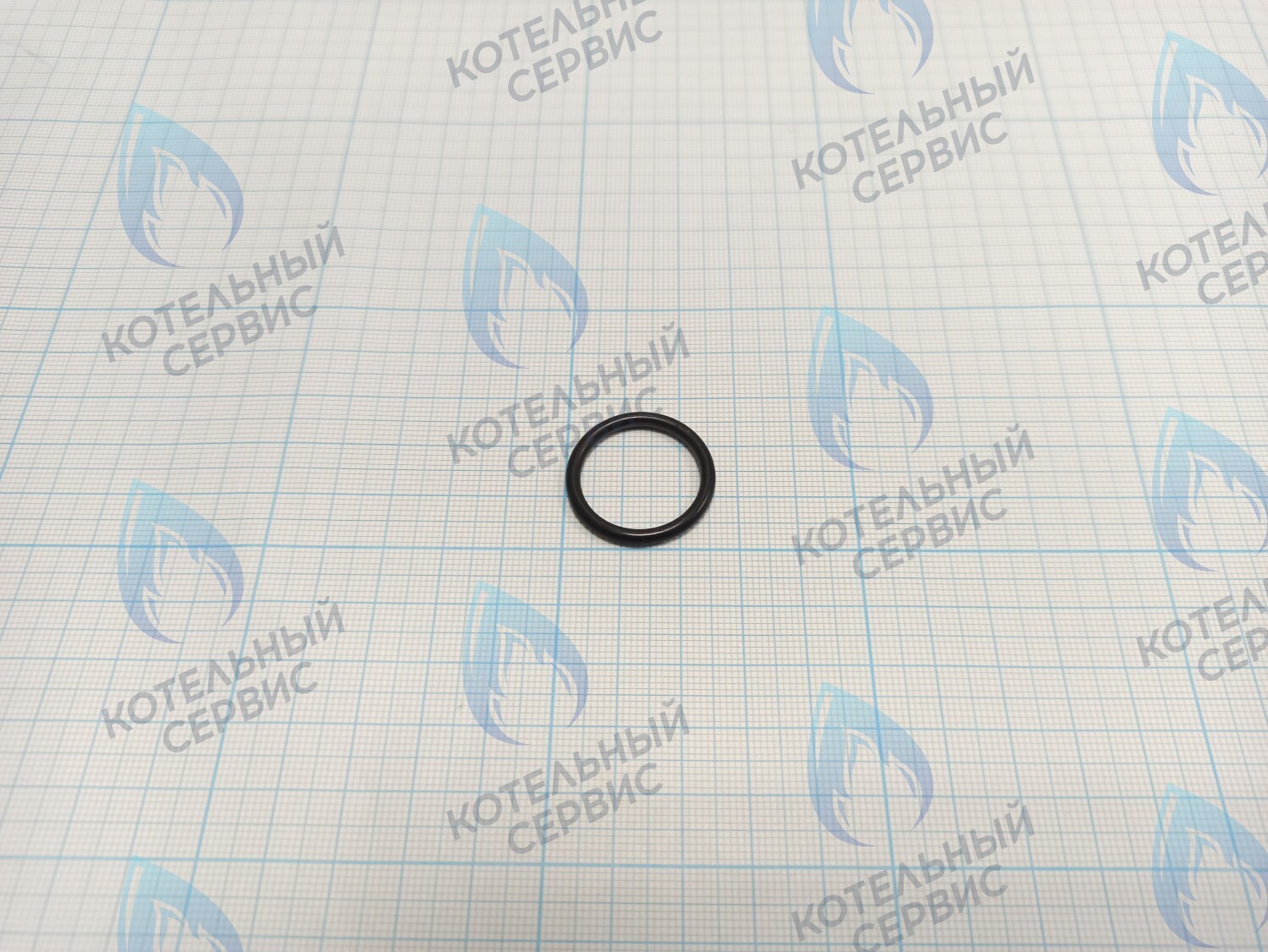 BI1001 130 Прокладка O-Ring 2,6 X 20,6 (BI1001 130) 