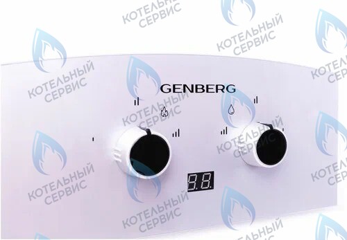310.01 Водонагреватель газовый проточный (серая накладка) Премиум 10л GENBERG 