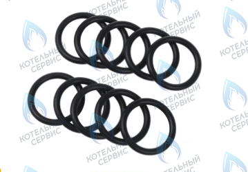 0020097203 Прокладка 2,4x9,6мм комплект PROTHERM (10шт) 