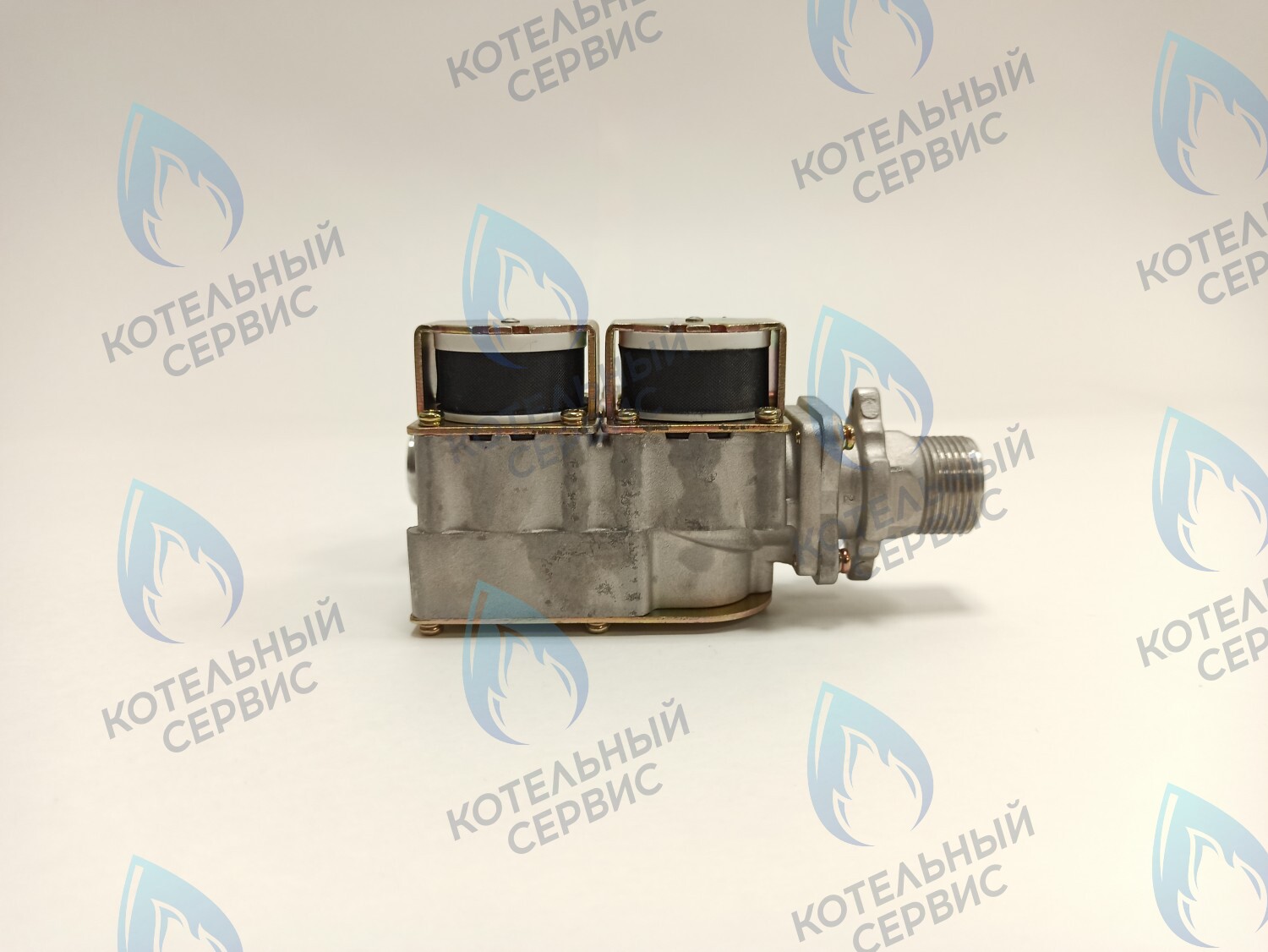 P0000005998 Газовый блок RT, BM OASIS 