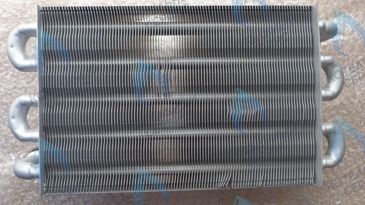 6SCAMMON10 Теплообменник первичный FONDITAL Formentera CTFS-RTFS 24 