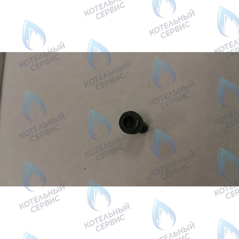 599150076 Винт M4X6 BAXI 