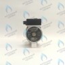 PMP01AP60-PR120-Комп Циркуляционный насос Protherm Гепард 12 / 23 MTV / MOV GPD15-6S (H-RU) (против часовой стрелки) (втулка 40мм, колесо 70/30мм) 