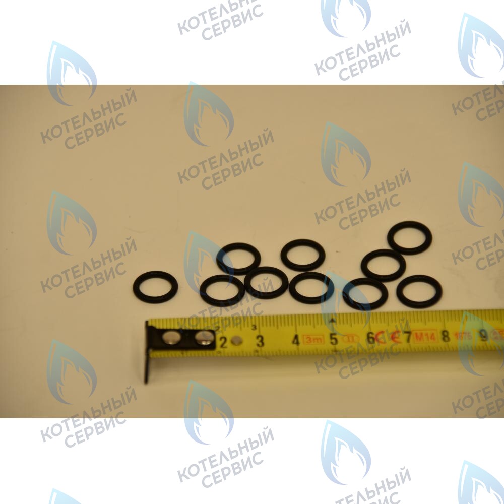 710048800 Уплотнение кольцевое 8,9X1,9 BAXI 