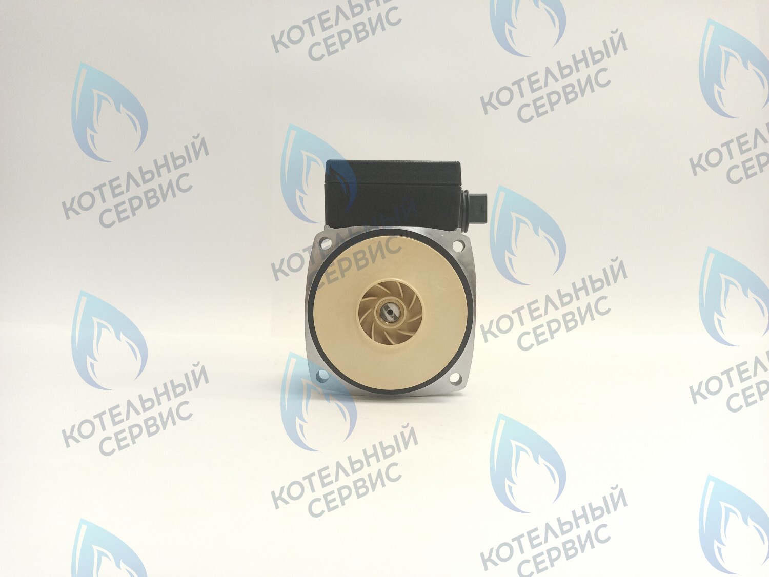 PH-P30CCW60-PR120 Двигатель насоса (против часовой) Protherm 15-60S (0020119604, 0020207146) 