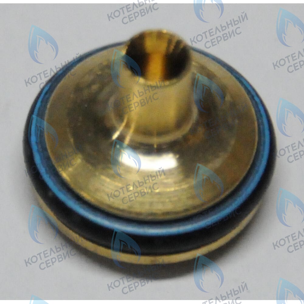 605760 тарелочка системы отопления в сборе BAXI 