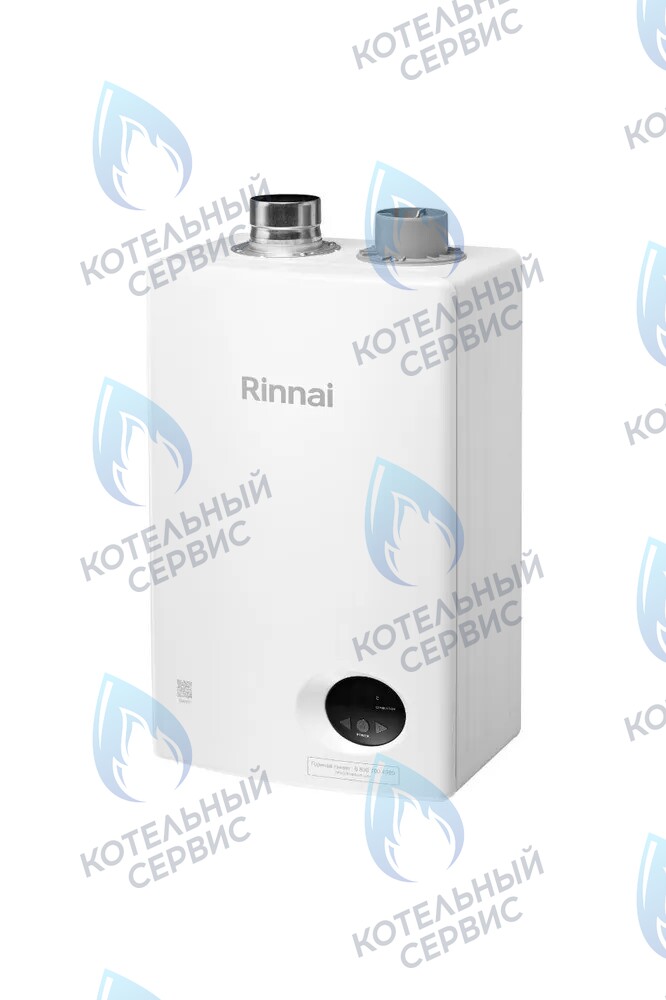 498900042 Газовый настенный проточный водонагреватель RINNAI BR-W 