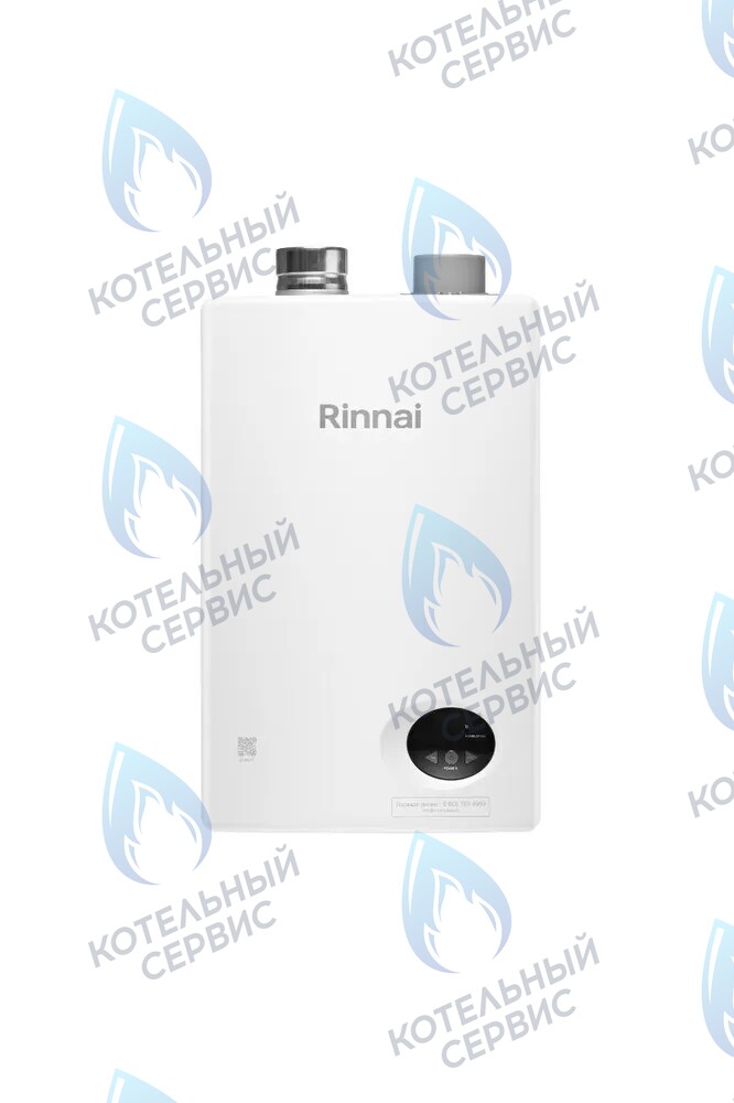 498900042 Газовый настенный проточный водонагреватель RINNAI BR-W 