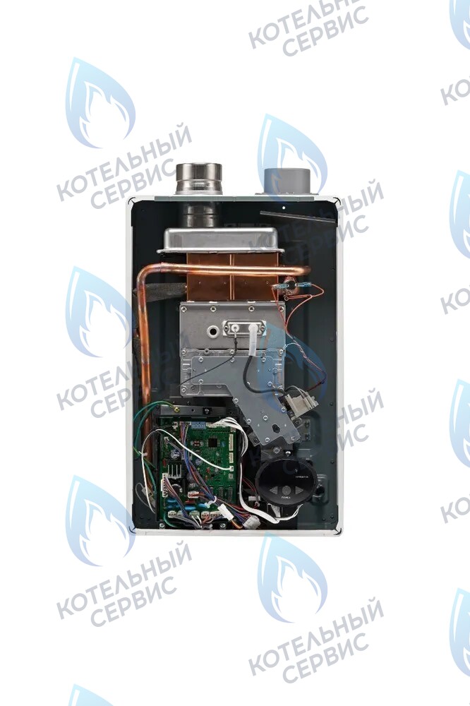 498900042 Газовый настенный проточный водонагреватель RINNAI BR-W 