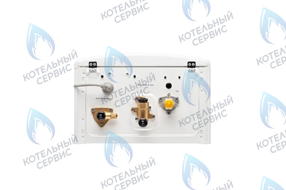 498900042 Газовый настенный проточный водонагреватель RINNAI BR-W 