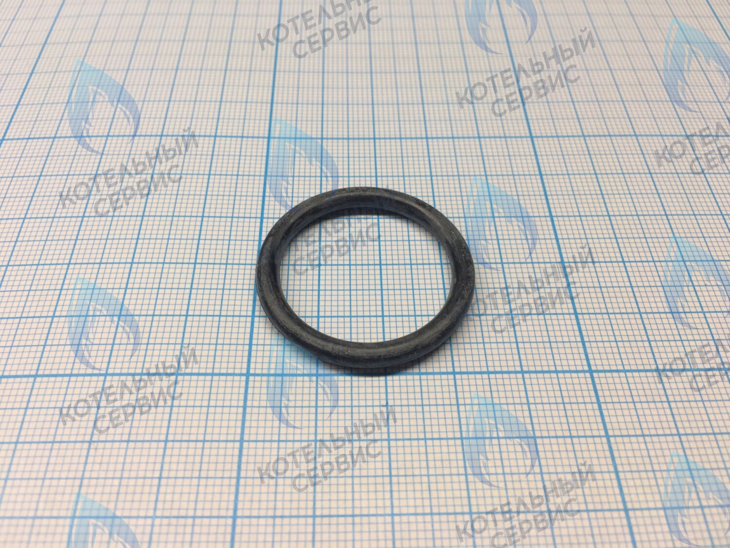 3080016 Кольцо уплотнительное насоса  CELTIC-DS PLATINUM (все модели) (3080016) 